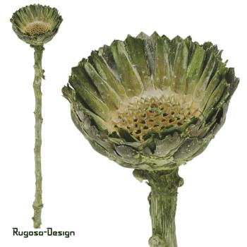 Protea Rosette klein, lime/raureif